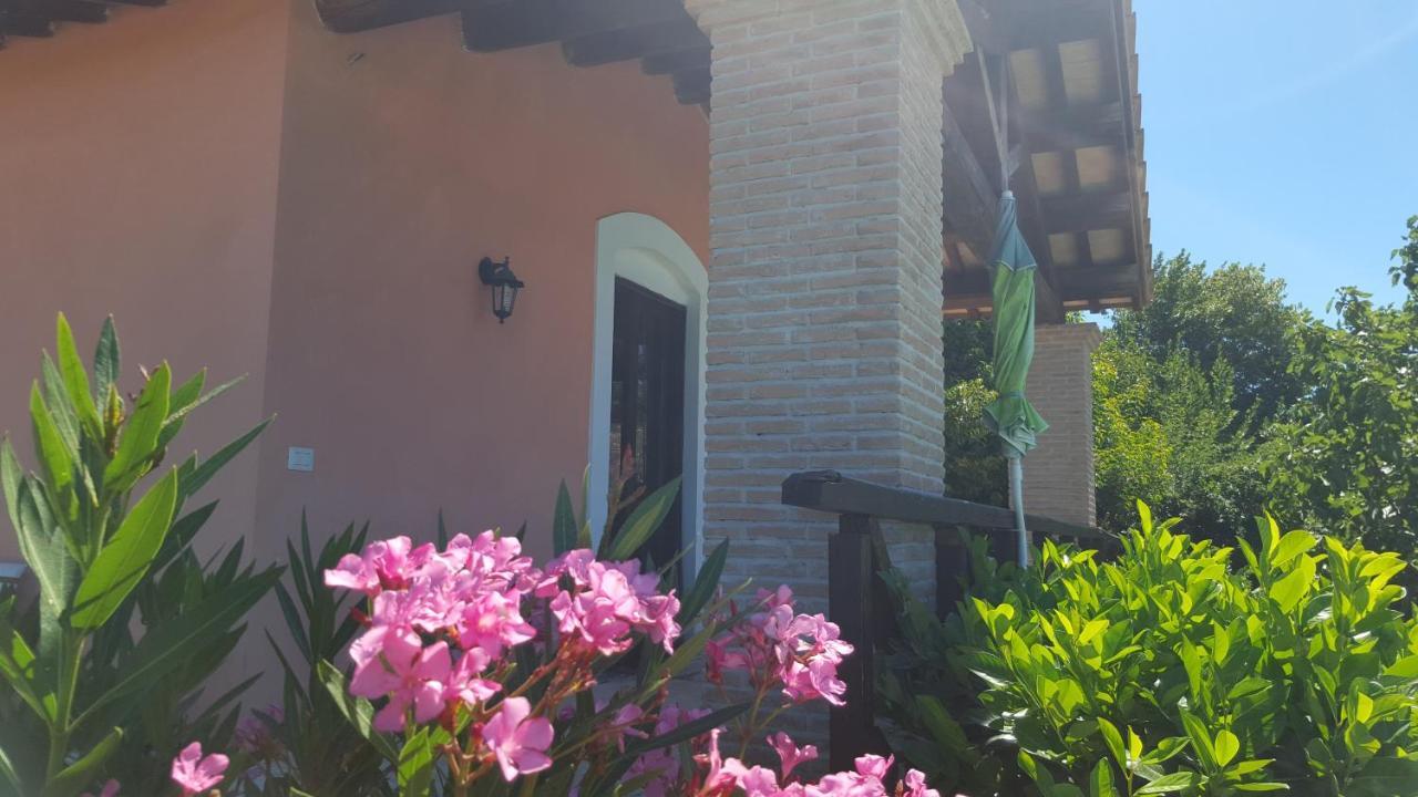 Casale Citerno Apartment Bolsena Exterior photo
